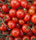 Organic Red Vine Tomatoes Royalty Free Stock Photo