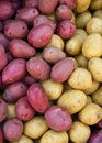 Organic Red and Yellow Potatoes