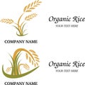 Organic rice logo