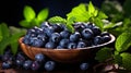 Organic ripe blueberries and fresh spearmint displayed in a rustic clay bowl on a wooden table
