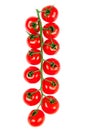 Organic ripe fresh cherry tomatoes on a long branch isolates on white background. Top view Royalty Free Stock Photo