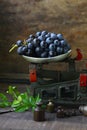 Organic ripe grapes Royalty Free Stock Photo
