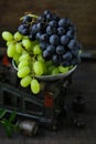 Organic ripe grapes Royalty Free Stock Photo