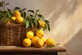 Organic ripe juicy lemon harvest in old basket on wooden table against vintage wall