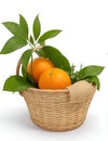 organic ripe mandarins in a basket on a white background by AI-generated Royalty Free Stock Photo