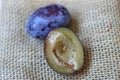 Organic Ripe Plum with Intriguing Surprise: A Peek into Nature\'s Circle