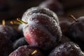 Organic Ripe Purple Prune Plums Royalty Free Stock Photo