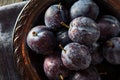 Organic Ripe Purple Prune Plums