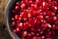 Organic Ripe Red Pomegranates Royalty Free Stock Photo