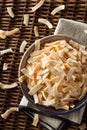 Organic Roasted Coconut Chips