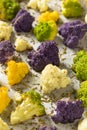 Organic Roasted Colorful Cauliflower