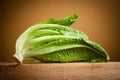 Organic romain lettuce Royalty Free Stock Photo