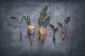 Organic Root Vegetables on Weathered Scratchy Background