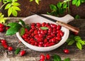 Organic rose hip berries on ceramic plate with branch and leaves on old rustic wooden background.