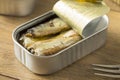 Organic Salty Canned Sardines Royalty Free Stock Photo