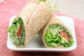 Organic sandwich wraps Royalty Free Stock Photo