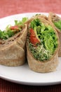 Organic sandwich wraps Royalty Free Stock Photo