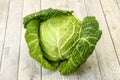 Organic Savoy Cabbage for cooking