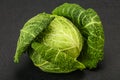 Organic Savoy Cabbage for cooking