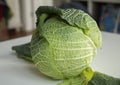 Organic Savoy Cabbage dietary for cooking