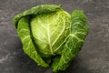 Organic Savoy Cabbage for cooking