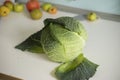 Organic Savoy Cabbage on a white kitchen table.