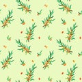 Organic sea buckthorn seamless pattern vector illustration. Twigs with berries and leaves, background. Template with