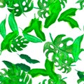Organic Seamless Painting. Nature Background. Green Pattern Leaves. Natural Watercolor Texture. Tropical Decor. Floral Foliage. Su Royalty Free Stock Photo