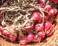 Organic shallot background vegetables