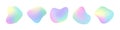 Organic shape holograph colors isolated, label tag