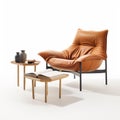 Organic Shapes: Orange Leather Lounge Chair With Bookcase On Pedestal Royalty Free Stock Photo