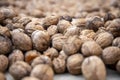 Organic fresh walnuts with shells laid on the floor to dry Royalty Free Stock Photo