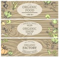 Organic Shop with Fresh Tasty Natural Food Posters