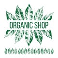 Organic shop illustration