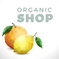 Organic shop text on white background with citrus