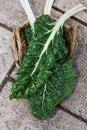 Organic silverbeet on a basket