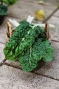 Organic silverbeet on a basket