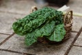 Organic silverbeet on a basket