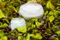 Organic skin care products