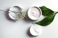 Organic skincare products on minimalistic background with copy space Royalty Free Stock Photo
