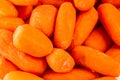 Organic small baby carrots Royalty Free Stock Photo