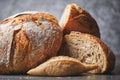 Organic sourdough breads