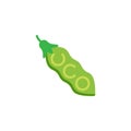 Organic soya bean flat icon