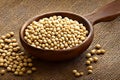 Organic soybean oil seeds in a wooden spoon, healthy diet, dry seeds, agriculture, generative ai