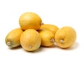 Organic spaghetti squash Cucurbita pepo vegetable Royalty Free Stock Photo