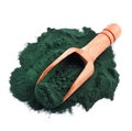 Organic spirulina algae powder Royalty Free Stock Photo