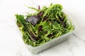 Organic Spring Mix Lettuce. Fresh green salad with spinach, arugula, romaine and lettuce in a container Royalty Free Stock Photo