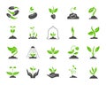 Organic sprout simple color flat icons vector set