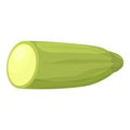 Organic squash icon cartoon vector. Vegetable zucchini
