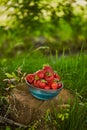 Organic strawberries in bowl on stump